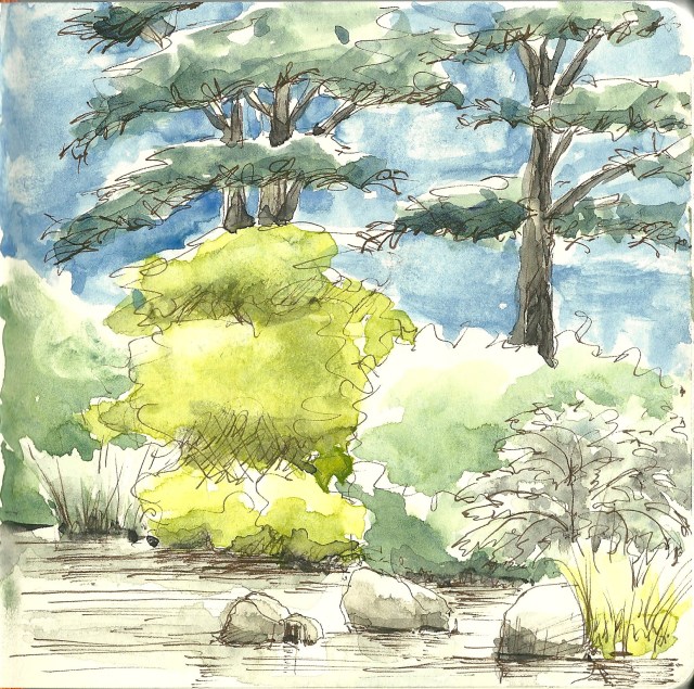 A pond in the botanical garden (sketch by Heath Massey)
