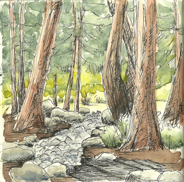 AIDS Memorial Grove (sketch by Heath Massey)
